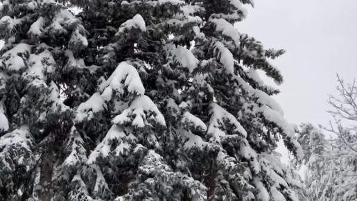 � ������������� ������� ������� ����� ���������� ���� �� �����������