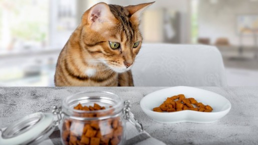 � ���� ������ ������ ������� ����� ���� ��� ��������: ������ ��������� 98% ������