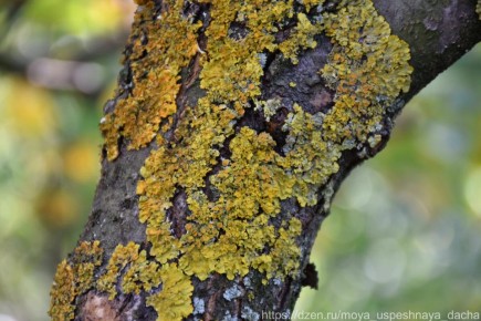 ������ ��������� �� �������� � ��� �� ������ �������, �� � ������