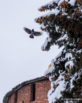 ������ ������� � ����� ������ �������