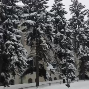 ������ ����, �����������!. ������� � ������ ����������� �������: �����