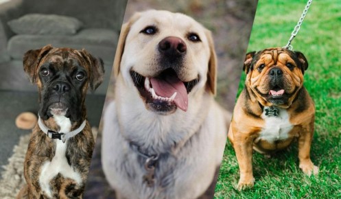 ������� 13 �������� �����, ������� �������� �������� ��� �����