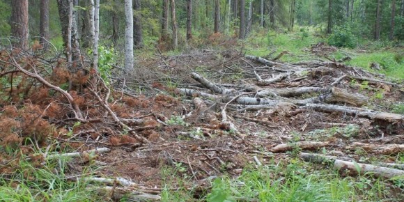 ���������� �������� ���������� � ����� ���������