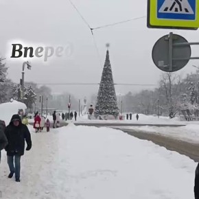 ������ ����, �����������!. ������� � ������ ����������� �������: �����