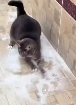 ������ ����! ��� �� �����������!