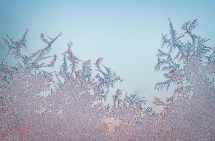 � ������������� ������� ��������� ����� ������ 20-��������� ������