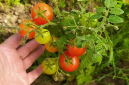 ������ ��� ��������� ������: ������ �����, ������� �� ����� �������� � �����������