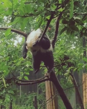 ��� �������� ����� � ���������� �����