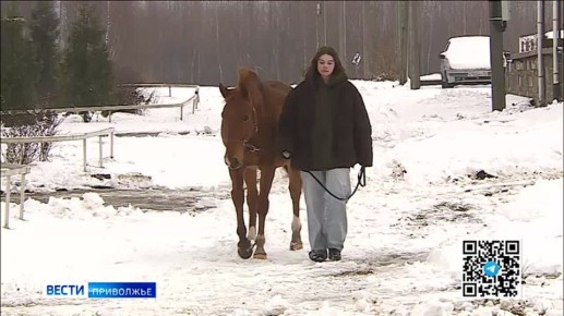 ������� ������ 2026 ���� ���� ��������� � ������