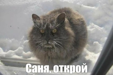 � ������ ��� ����������, �� ��� �� ������ � � ��������� ��� ������ 20-��������� ������