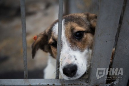 �������������� ������� � ������ �������� �� ������������