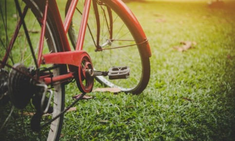 ����� ������� ��������� - ���� ������� ����������