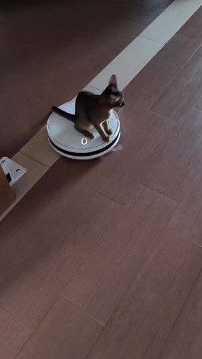 ������������ ������ � ����� �� ������ ������ � ����������� ��������