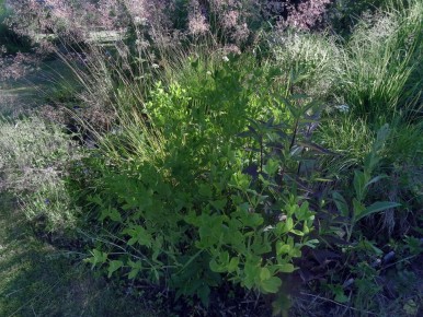 ����������� ������� �������� ��������: ��� �������� � ������� ������ ������