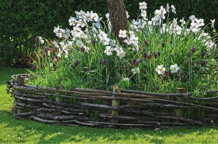 ���������� ����: ��� ������� ��� ���������� � ������� ����������� ����������