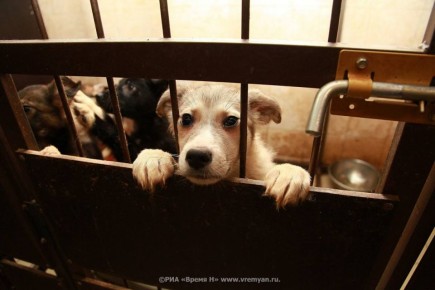 ��������� ������� ��������� ����� � ������ � ����� � �������