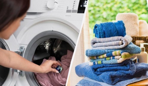 ��� ������� �������� ����������: ������ �������� �����������