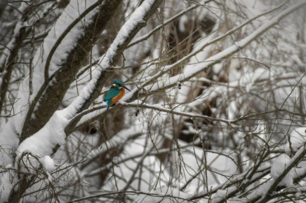 ���������� ������ ������� ����� ������������ � ������������� �������