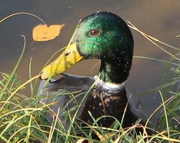 ������������� ����� ����� ������������� ���� ������ ����� 2026� ���������� � ������������� �������