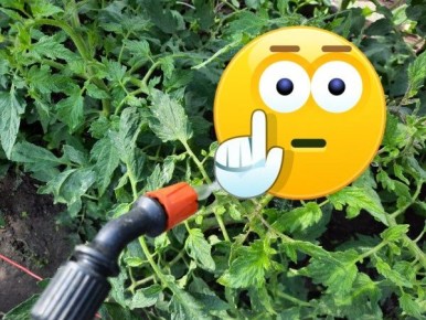 ������� ������ �� ������ � �����������: ��� ����� ����� ���������