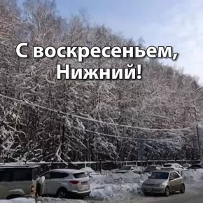 ������ ����, �����������!. ������� � ������ ����������� �������: �����