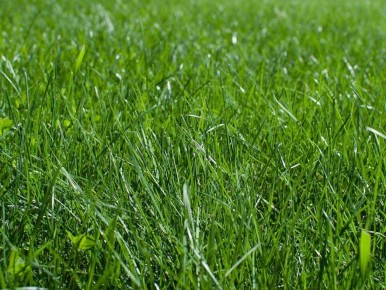 ��� ������� ������� ����������������� ��� ����: ������� � ����������� �������