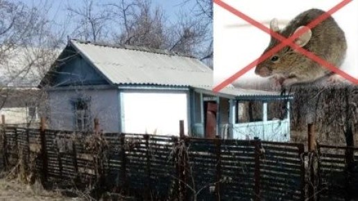 ������� ������ �������� ����� �� ���� �� ������ ������� �����