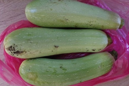 �������� ����: ������� ���������� ������� �� ������