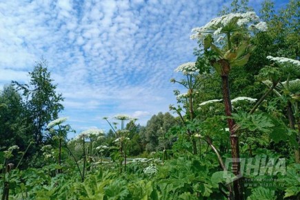 � ������������� ������� ���������� ������� �� ��������� ����������