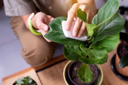 ������� ������ ��� ����� �� ����������