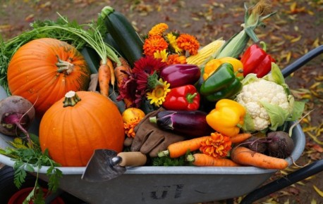 ��� ����������� ���� � ����: ������� ���� �� �������