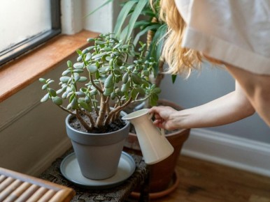 �������� ������: ����������� ������� �� ���-���