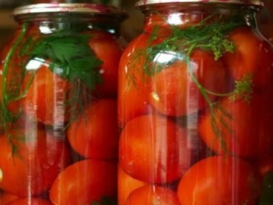 Шпаргалка вкусных маринадов для помидоров: рецепты на любой вкус