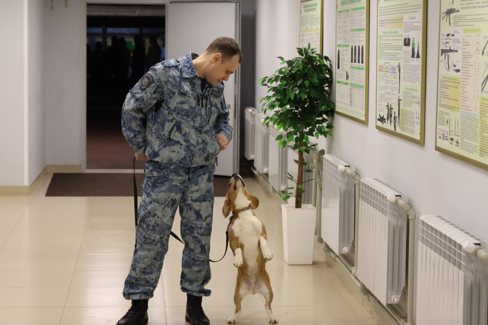 В Нижнем Новгороде студенческий десант высадился в транспортной полиции В Нижнем Новгороде студенческий десант высадился в транспортной полиции