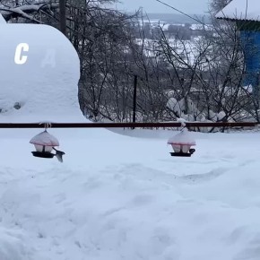 Доброе утро, нижегородцы!. Сегодня в Нижнем температура воздуха: утром