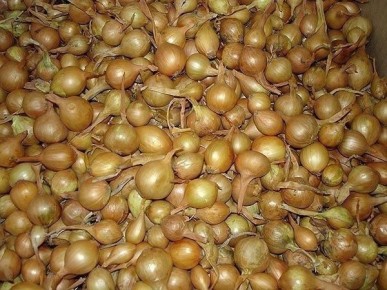 ������� �������� �������� ������� ����: ��� ������������� ������� ��������