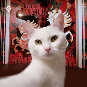 ������ � ������������ ����� �������� �� �������� ������ ������