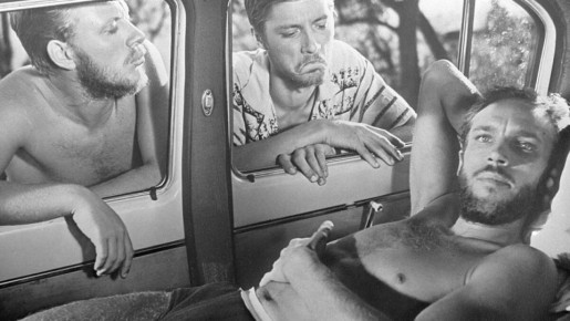 ��� ���� ���: ������ ������� ����������� �������