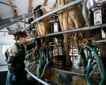 �������������� ������ ������� � ������������ �������� �������