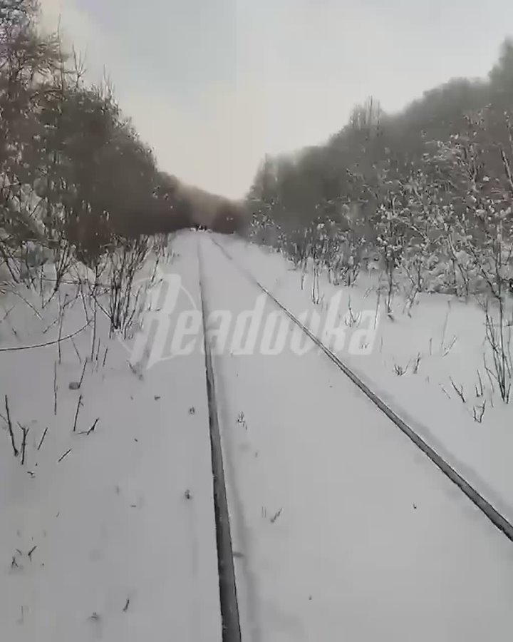 3 километра по сугробам: старики и дети были вынуждены идти несколько километров до станции в -23 из-за поломки электрички