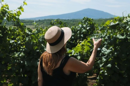 ����� �� ������ ������ � ������ ������: ����� ��������� ��� ����������������