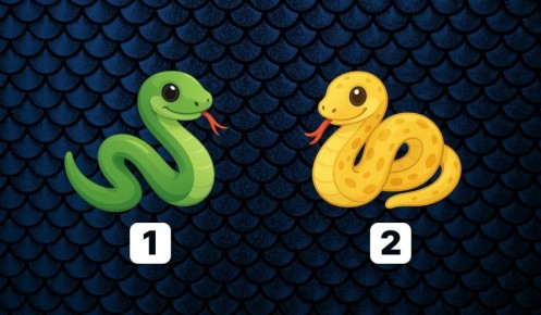 ��� ���� �� ������ �������� ������� ���� ����� ��������� �������� �����