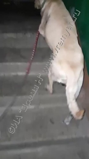 ������� ��������� ��������� ������ ��������� ����������������� ������