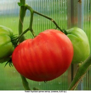 ������� �����: ��� ������������� ����� � dessert-������ �������� �����