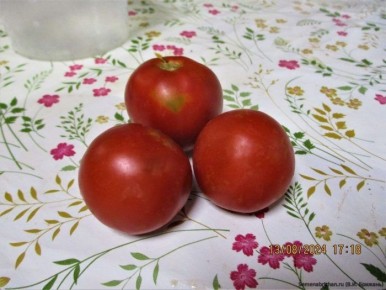 ����� ������ �����: �������� ��������� � ������������ � ������