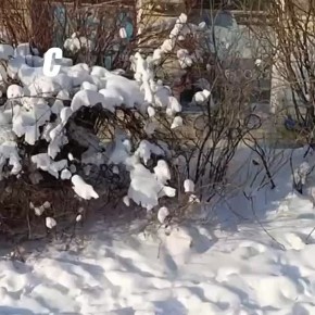 Доброе утро, нижегородцы!. Сегодня в Нижнем температура воздуха: утром