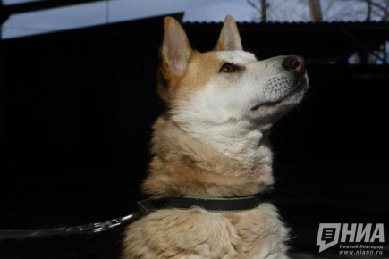 �� �������� �� ����������������� ������ ������ ��������� ����