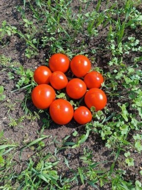 ����� ������: ������ ������ ����� ������ ��� ��������� ������