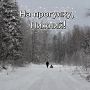 Доброе утро, нижегородцы!. Сегодня в Нижнем температура воздуха: утром