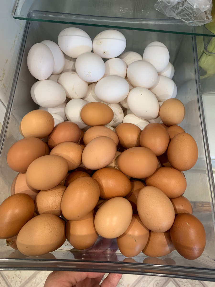 Развенчиваем кулинарные мифы: что на самом деле стоит знать о приготовлении пищи